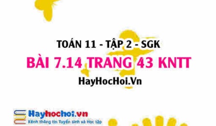 Bài 7.14 trang 43 Toán 11 tập 2 Kết nối tri thức